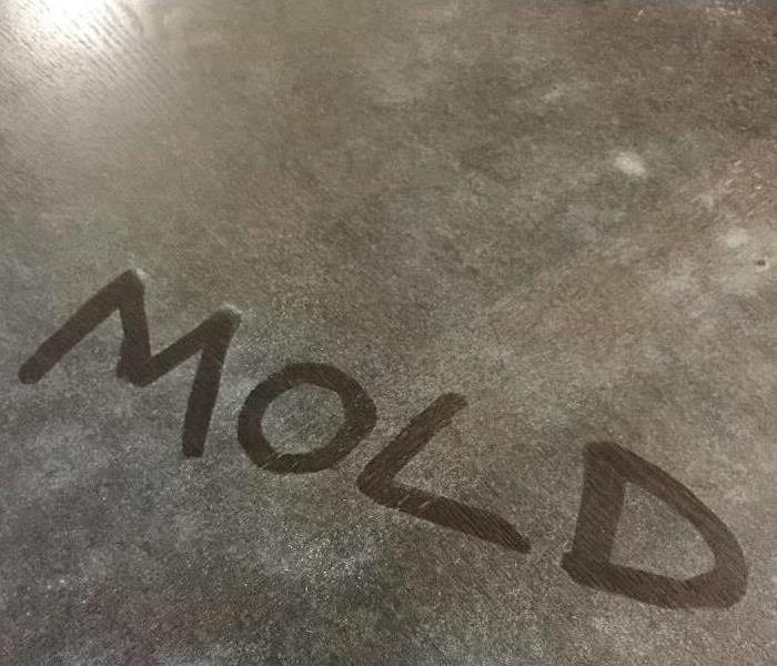 The word mold scraped into table covered in mold