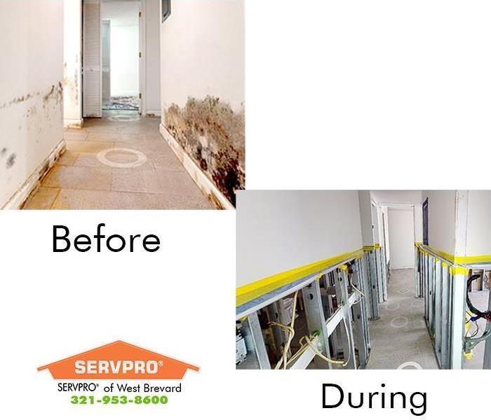 before and during mold remediation