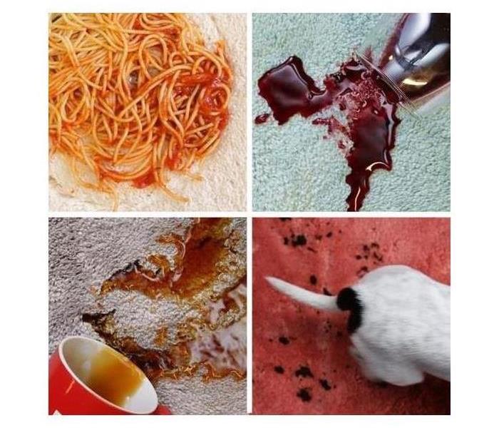 Four pictures of common carpet stains: spaghetti, red wine, drinks, and animal accidents.